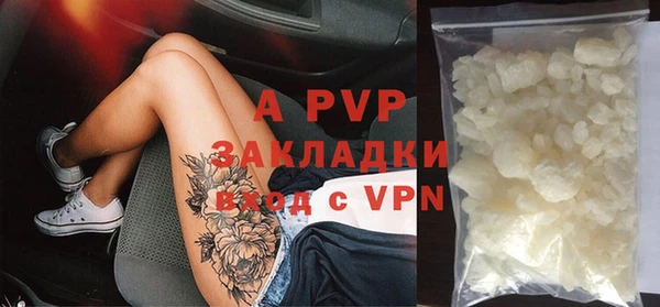 крисы Белоозёрский
