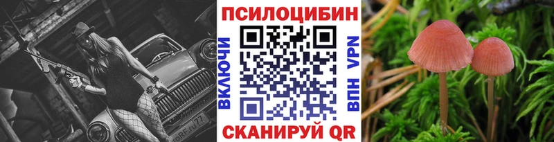 Псилоцибиновые грибы MAGIC MUSHROOMS  Великий Устюг 